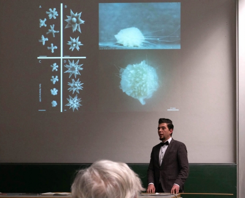 Vortrag Fabian Deister - Arten