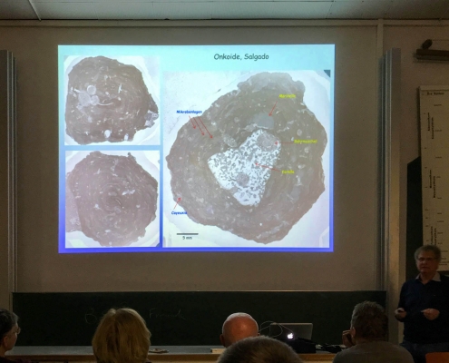 Vortrag Dr. Winfried Werner - Korallenriffe in Stressbiotopen