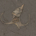 Flügelschnecke Toarctocera subpunctata